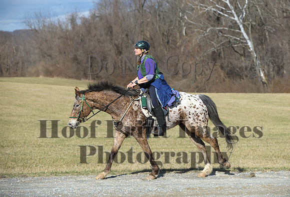 Chesapeake(4-4-15)0189