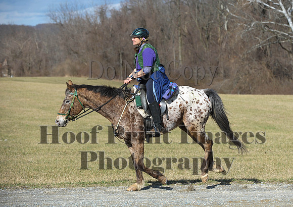Chesapeake(4-4-15)0190
