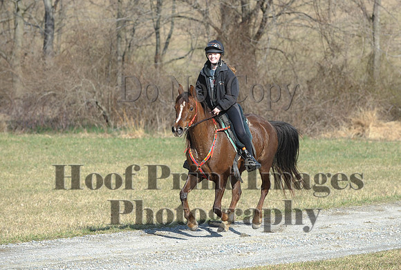 Chesapeake(4-4-15)0193