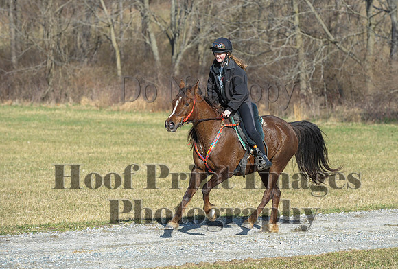 Chesapeake(4-4-15)0195