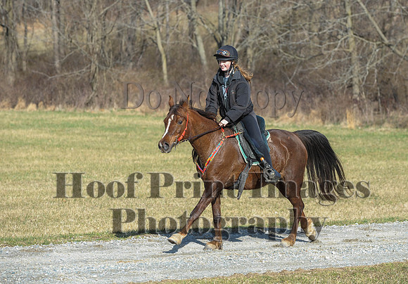 Chesapeake(4-4-15)0196