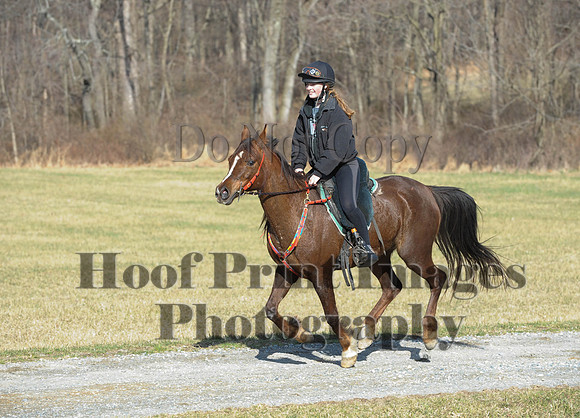 Chesapeake(4-4-15)0197