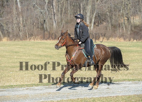 Chesapeake(4-4-15)0198