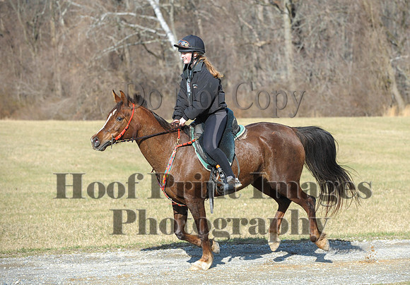 Chesapeake(4-4-15)0199