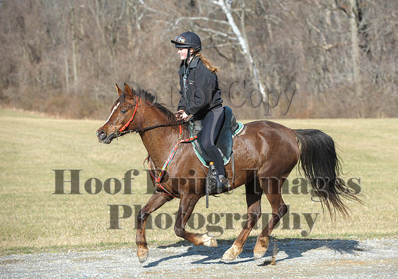 Chesapeake(4-4-15)0200