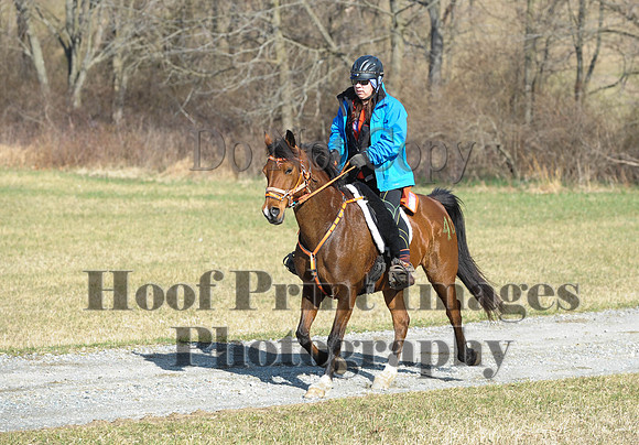 Chesapeake(4-4-15)0201