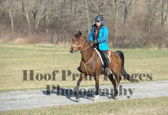 Chesapeake(4-4-15)0202