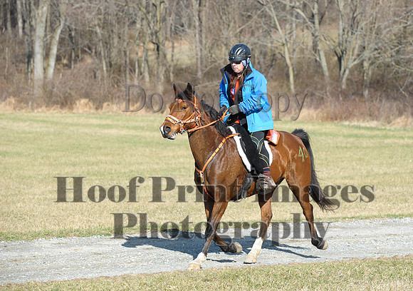 Chesapeake(4-4-15)0203