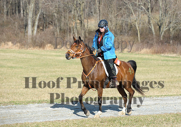 Chesapeake(4-4-15)0204