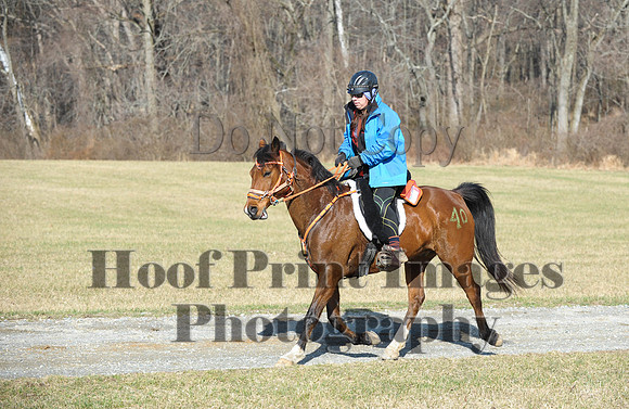 Chesapeake(4-4-15)0205
