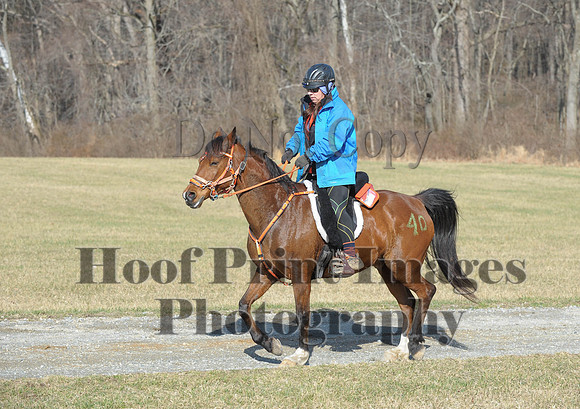 Chesapeake(4-4-15)0206