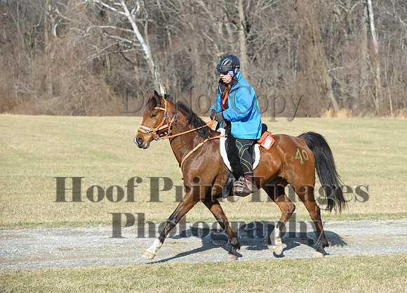 Chesapeake(4-4-15)0207