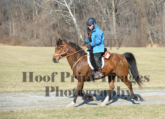 Chesapeake(4-4-15)0208