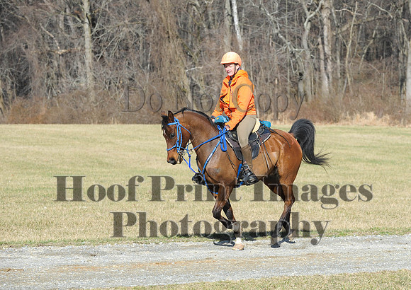 Chesapeake(4-4-15)0209
