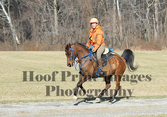 Chesapeake(4-4-15)0210