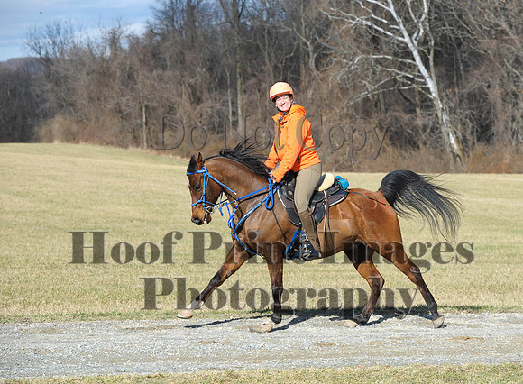 Chesapeake(4-4-15)0211