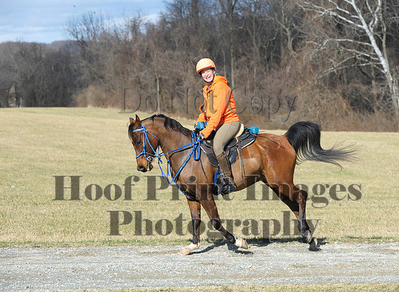 Chesapeake(4-4-15)0212