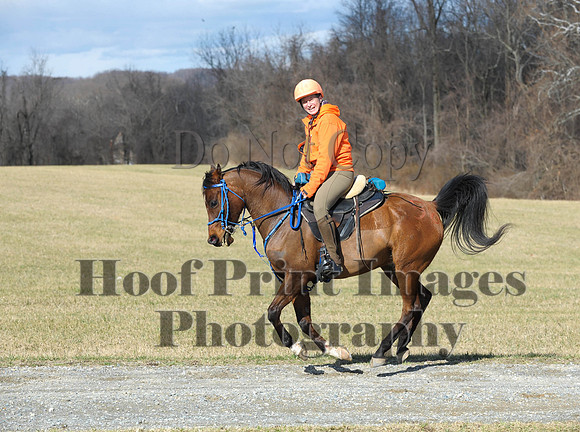 Chesapeake(4-4-15)0213
