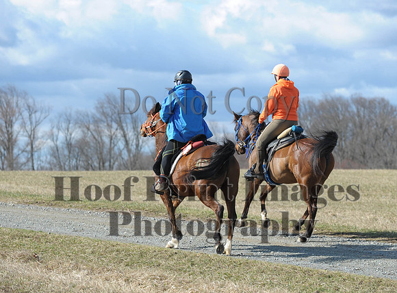 Chesapeake(4-4-15)0216