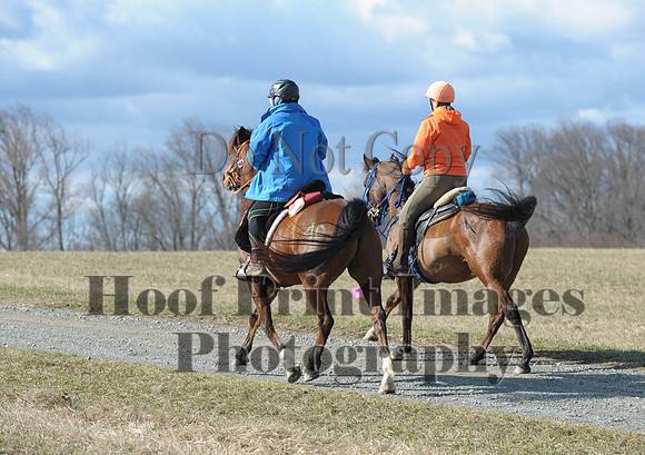 Chesapeake(4-4-15)0217