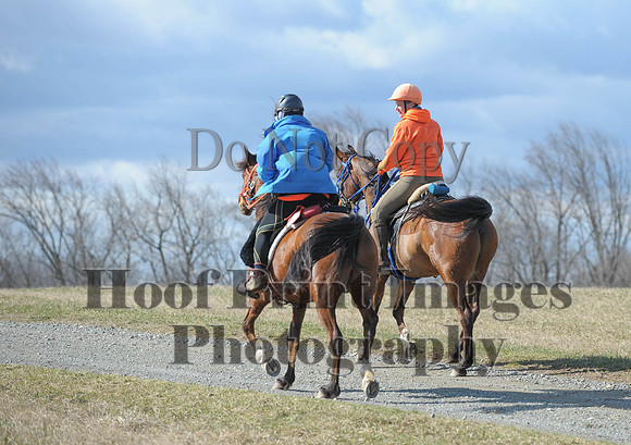 Chesapeake(4-4-15)0218