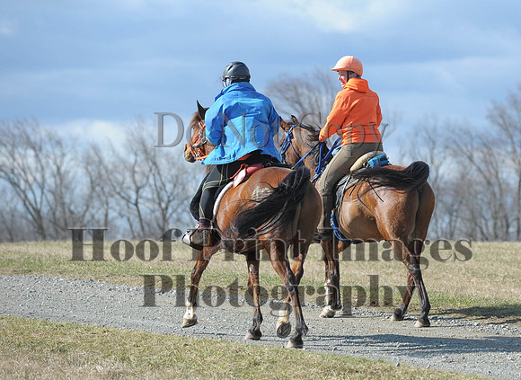 Chesapeake(4-4-15)0219