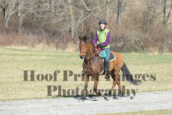 Chesapeake(4-4-15)0222