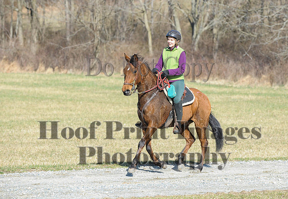 Chesapeake(4-4-15)0225