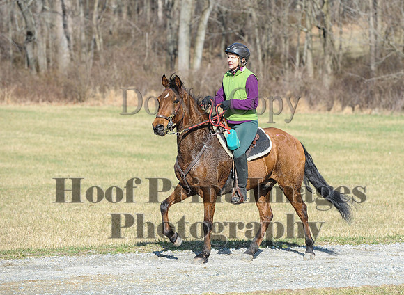 Chesapeake(4-4-15)0226