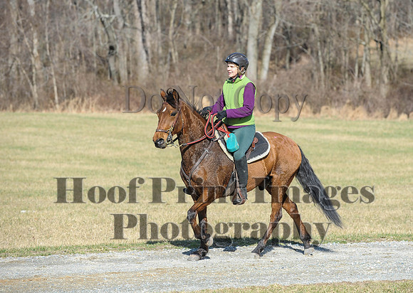 Chesapeake(4-4-15)0228