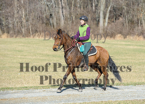 Chesapeake(4-4-15)0229