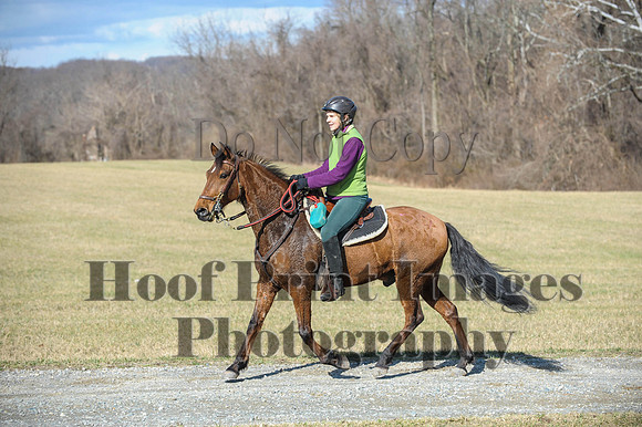 Chesapeake(4-4-15)0232