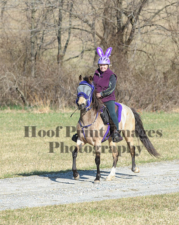 Chesapeake(4-4-15)0235