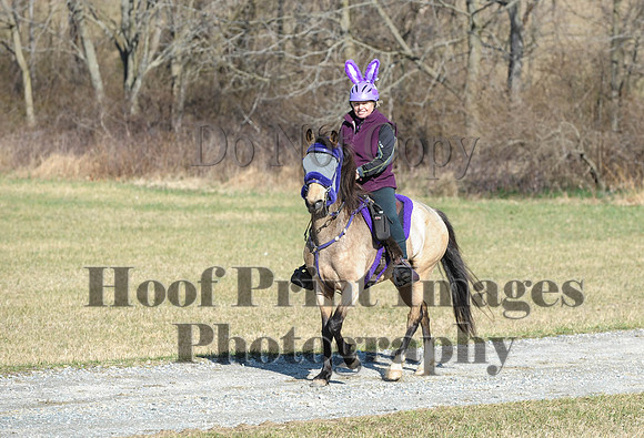Chesapeake(4-4-15)0237