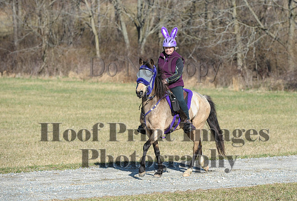 Chesapeake(4-4-15)0238