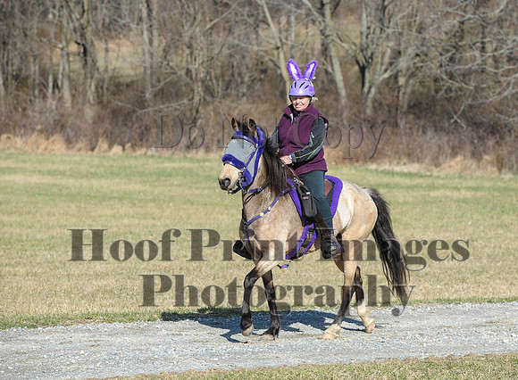 Chesapeake(4-4-15)0239