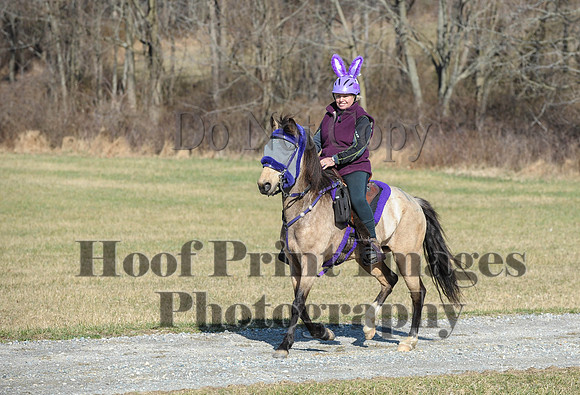 Chesapeake(4-4-15)0240
