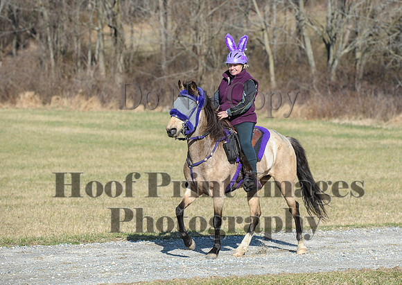 Chesapeake(4-4-15)0241