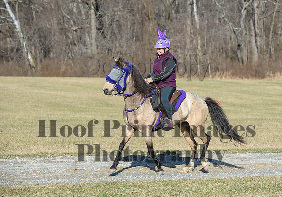 Chesapeake(4-4-15)0243