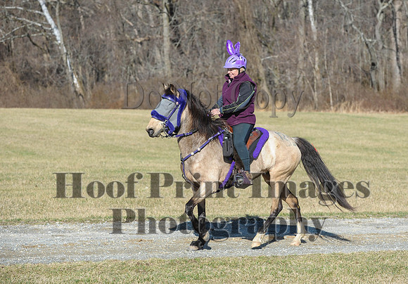 Chesapeake(4-4-15)0244