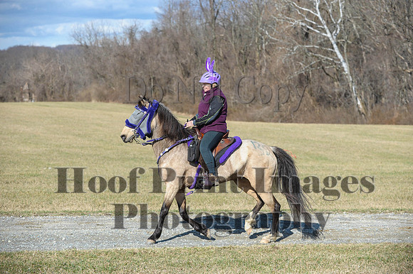 Chesapeake(4-4-15)0246
