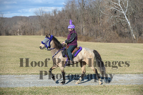 Chesapeake(4-4-15)0247