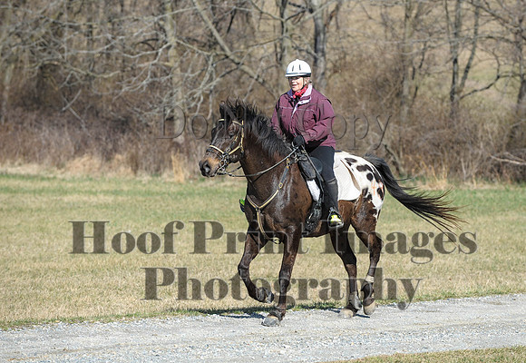 Chesapeake(4-4-15)0253