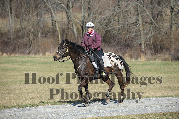 Chesapeake(4-4-15)0255