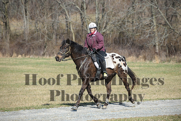 Chesapeake(4-4-15)0256
