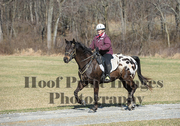 Chesapeake(4-4-15)0258