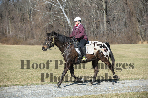 Chesapeake(4-4-15)0259
