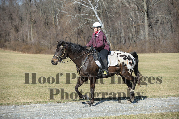 Chesapeake(4-4-15)0260