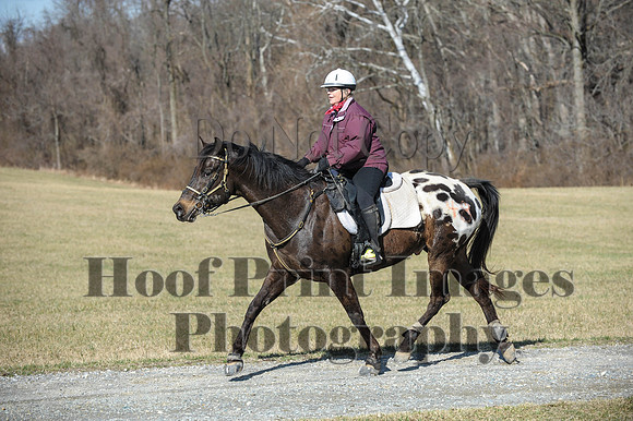 Chesapeake(4-4-15)0261