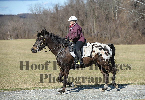 Chesapeake(4-4-15)0262